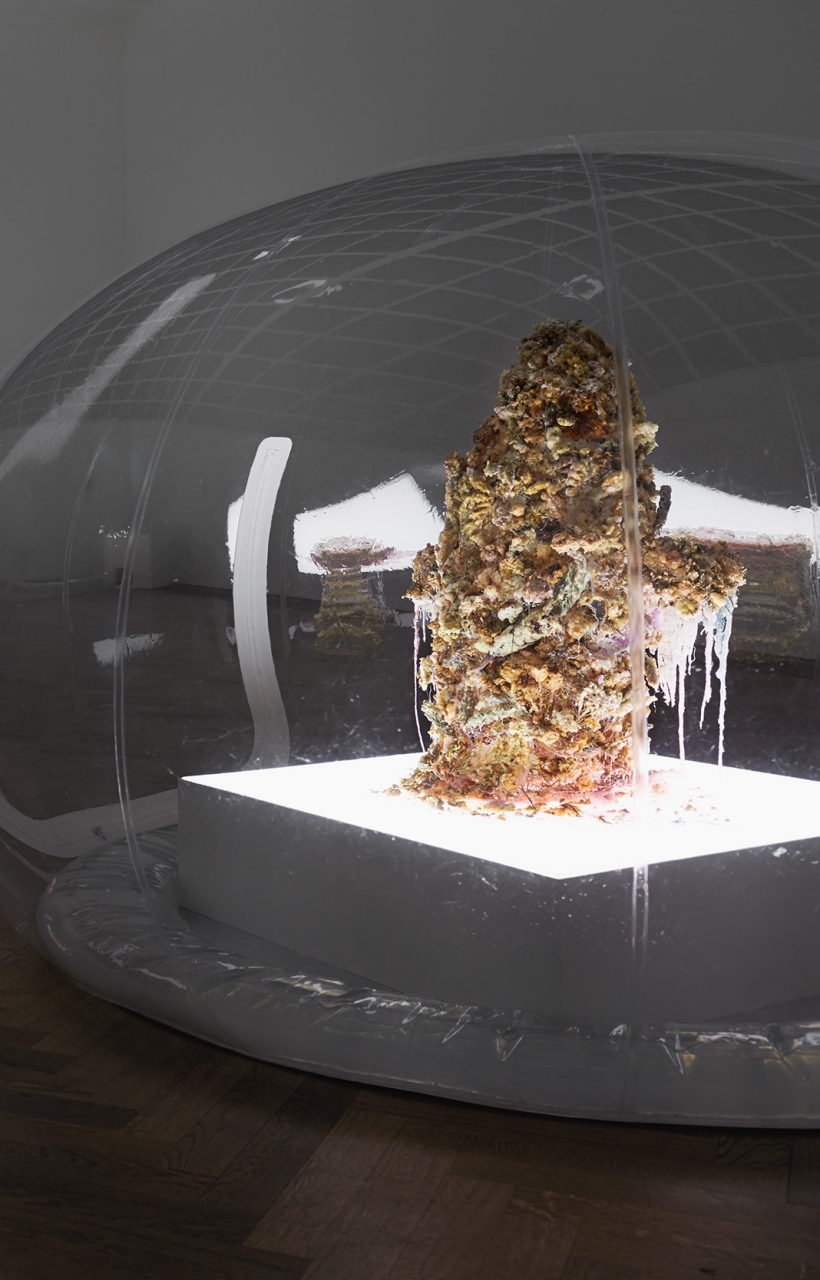 batch_621e78ff0868ec2b8b16fd47_ALZ_AZN