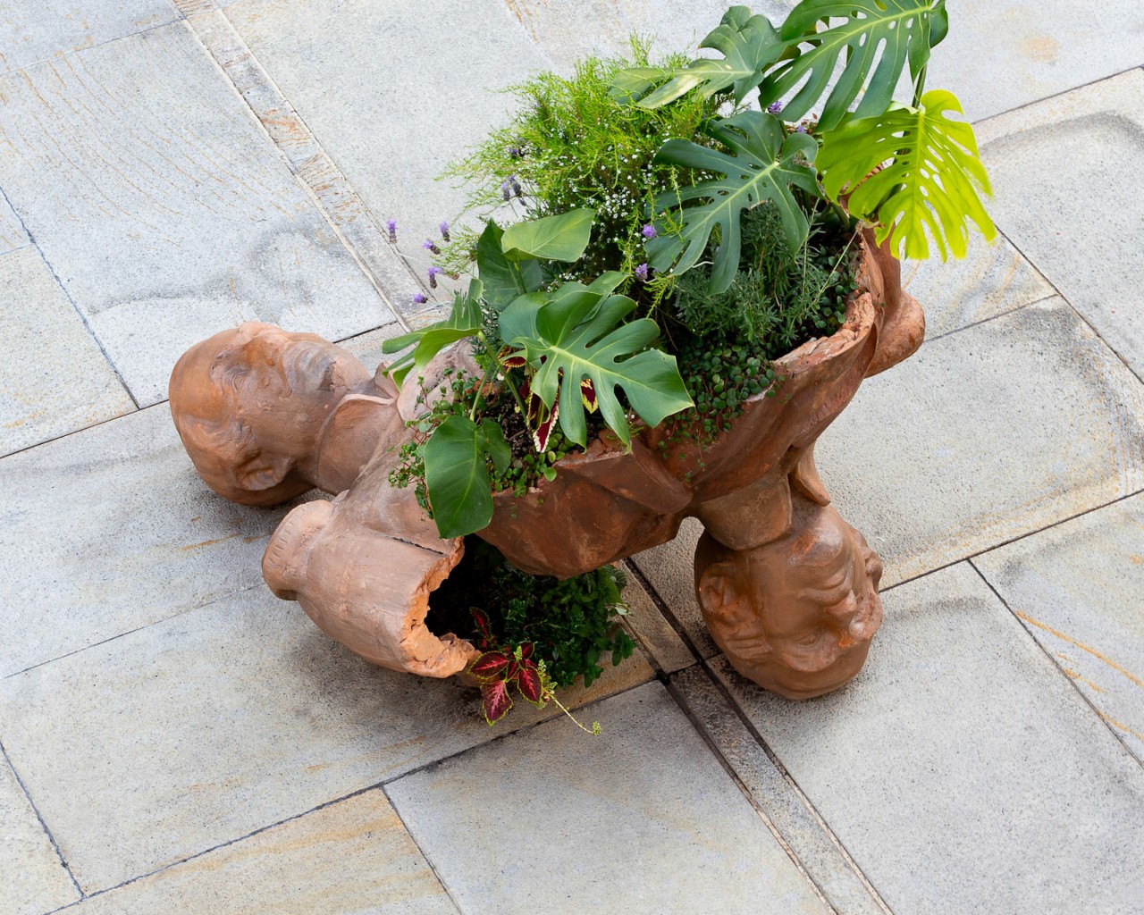 콜롬비아 보고타, ⌜Señores⌟