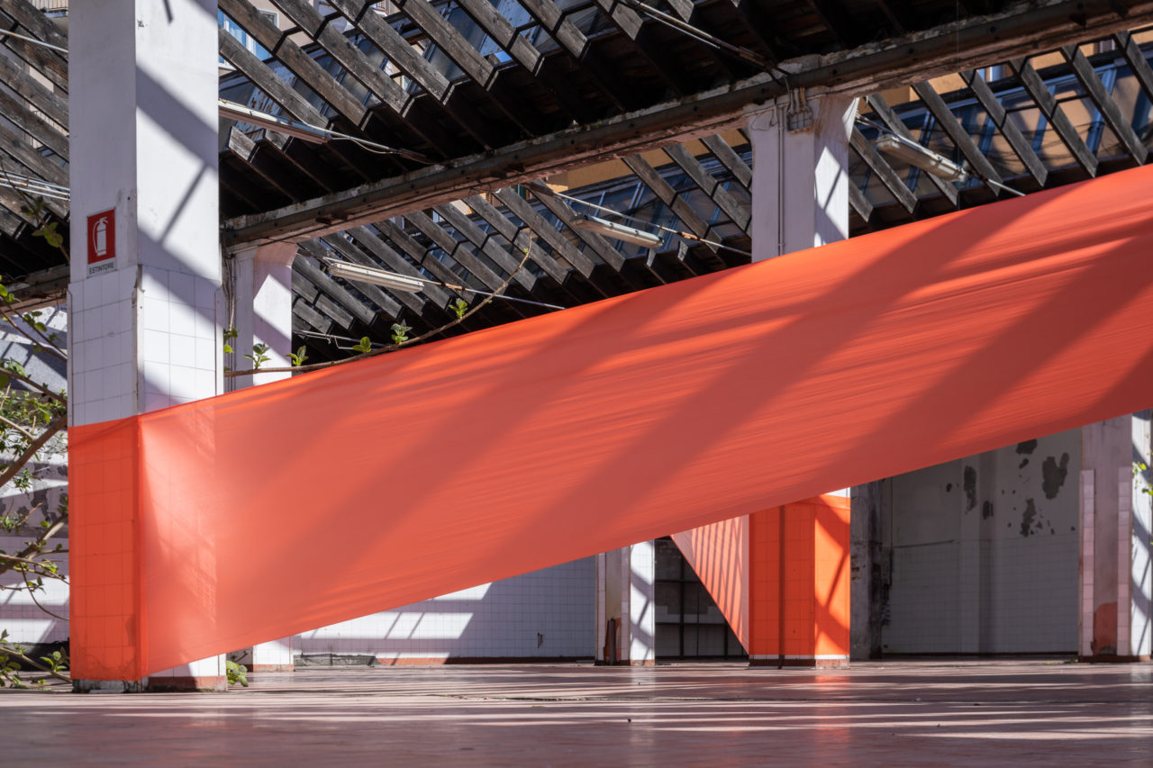 SPREAD Color Appreciation 2